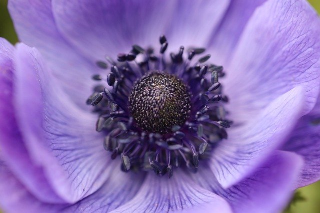 Example post longest title lorem ipsum dolor sit amet